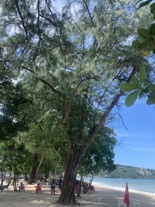 IMG_6754.jpeg
