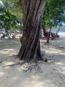 IMG_6753.jpeg