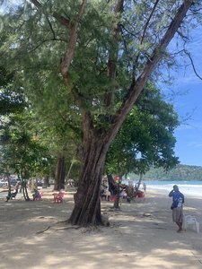 IMG_6752.jpeg