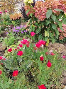 IMG_20230926_135305.jpg