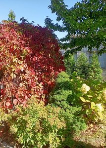 IMG20230930111735.jpg