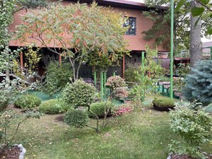 IMG_7447.jpeg