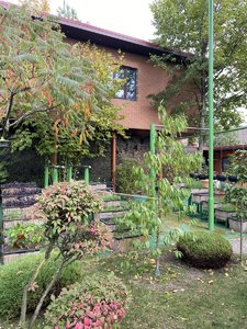 IMG_7449.jpeg