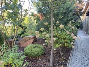 IMG_7488.jpeg