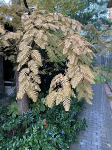 IMG_7567.jpeg