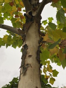 IMG_7562.jpeg