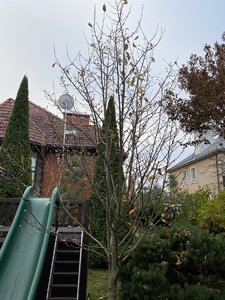 IMG_7636.jpeg
