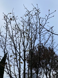 IMG_7637.jpeg