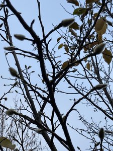 IMG_7638.jpeg