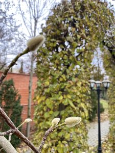 IMG_7640.jpeg