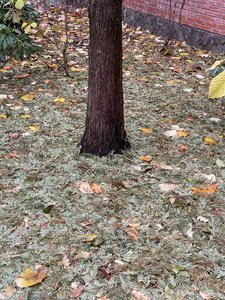 IMG_7663.jpeg