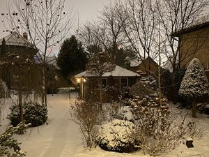 IMG_7795.jpeg