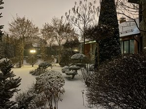 IMG_7797.jpeg