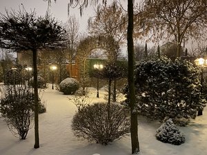 IMG_7798.jpeg