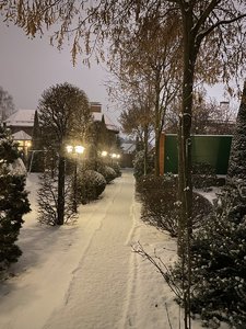 IMG_7799.jpeg