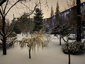 IMG_7808.jpeg