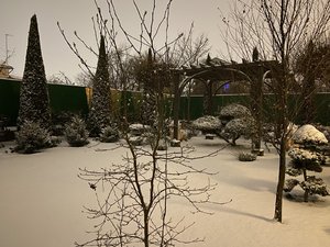 IMG_7801.jpeg