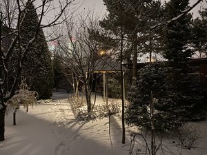 IMG_7809.jpeg