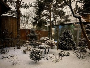 IMG_7811.jpeg