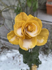 IMG_7788.jpeg