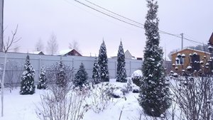 P_20231125_154714.jpg