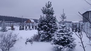 P_20231125_154701.jpg