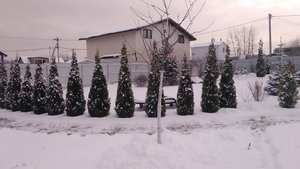 P_20231125_144518.jpg