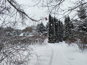 IMG_20231210_124410.jpg