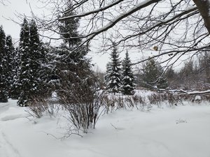 IMG_20231210_124420.jpg