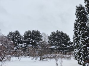 IMG_20231210_124442.jpg