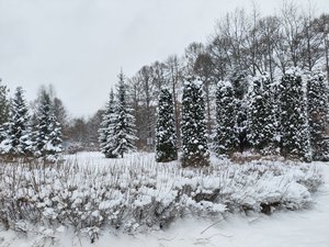 IMG_20231210_124547.jpg
