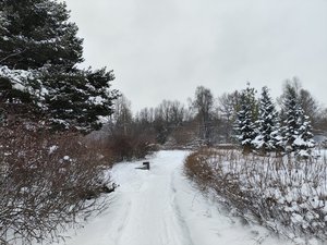 IMG_20231210_124557.jpg
