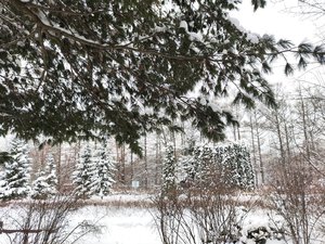 IMG_20231210_124757.jpg