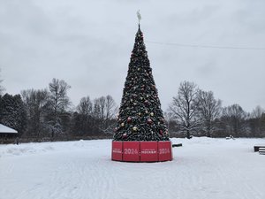 IMG_20231210_125401.jpg