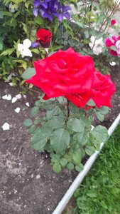 20230707_183809.jpg