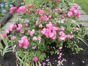 DSCN2553.JPG