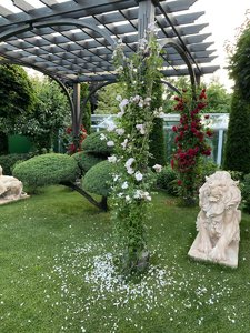 IMG_4050.jpeg