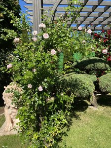 IMG_2037.jpeg