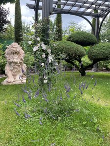 IMG_6932.jpeg