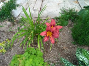 IMG_20170805_180428.jpg