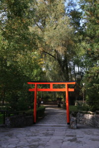 IMG_5013ac_resize.JPG