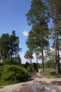 P1040132_resize.JPG