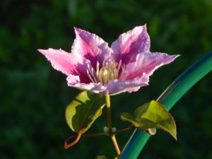 DSCN3192.JPG