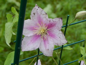 DSCN9581.JPG