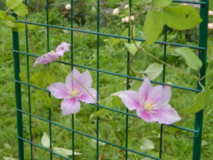DSCN9582.JPG