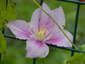 DSCN9583.JPG