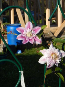 DSCN0226.JPG