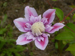 DSCN3923.JPG