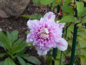 DSCN4159.JPG