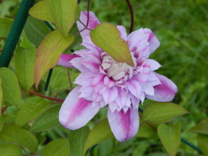DSCN4160.JPG